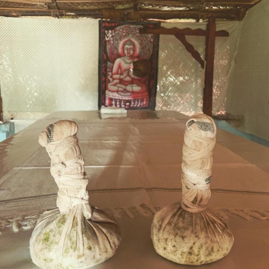 Green Garden Ayurvedic Resort & Green House Varkala Dış mekan fotoğraf