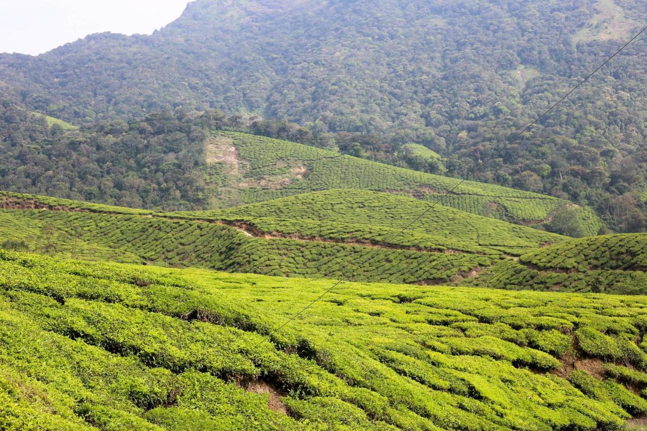 Green Garden Ayurvedic Resort & Green House Varkala Dış mekan fotoğraf